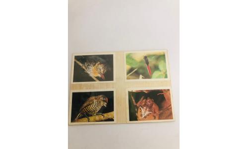 004x Figurinhas Animais